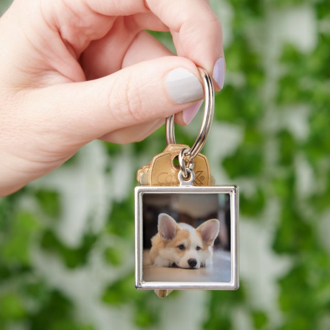 Cutest Baby Animals | Sleepy Corgi Puppy Key Ring (Hand)
