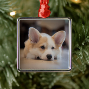 Cutest Baby Animals   Sleepy Corgi Puppy Metal Ornament