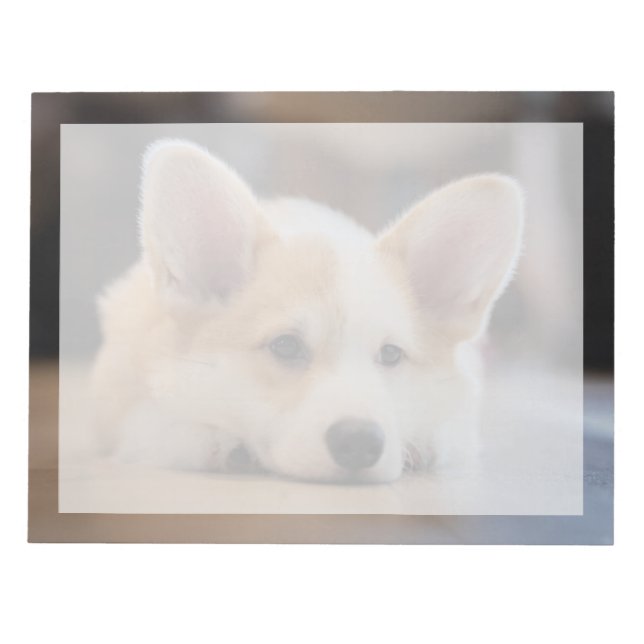 Cutest Baby Animals | Sleepy Corgi Puppy Notepad (Front)