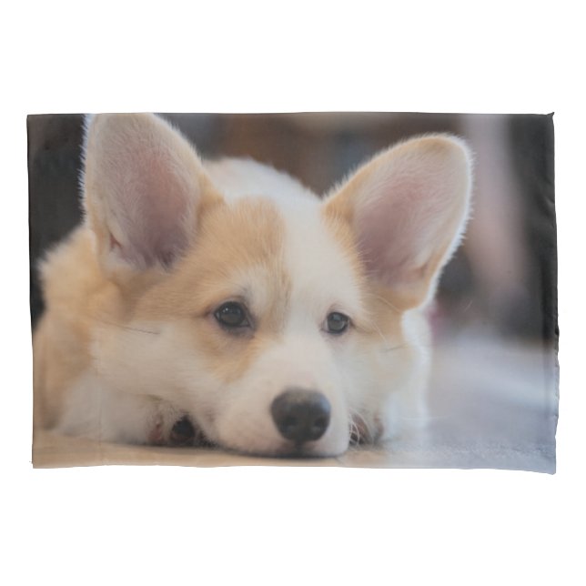 Cutest Baby Animals | Sleepy Corgi Puppy Pillowcase (Front)
