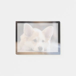 Cutest Baby Animals   Sleepy Corgi Puppy Post-it Notes