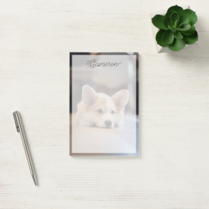 Cutest Baby Animals Sleepy Corgi Puppy Post-it Notes