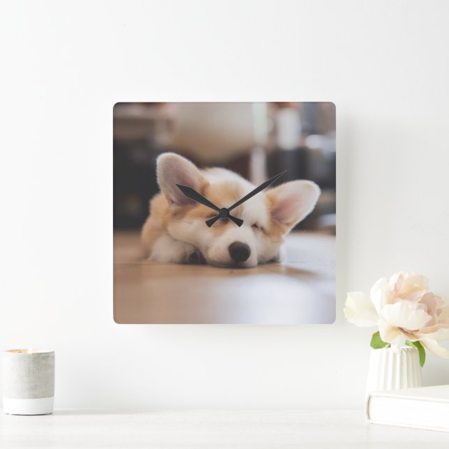 Cutest Baby Animals | Sleepy Corgi Square Wall Clock (Home)