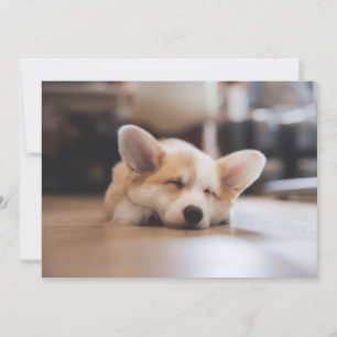 Cutest Baby Animals   Sleepy Corgi Thank You Card