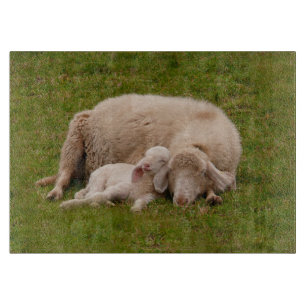 Cutest Baby Animals Smiling Sleeping Lamb Cutting Board