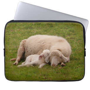 Cutest Baby Animals Smiling Sleeping Lamb Laptop Sleeve