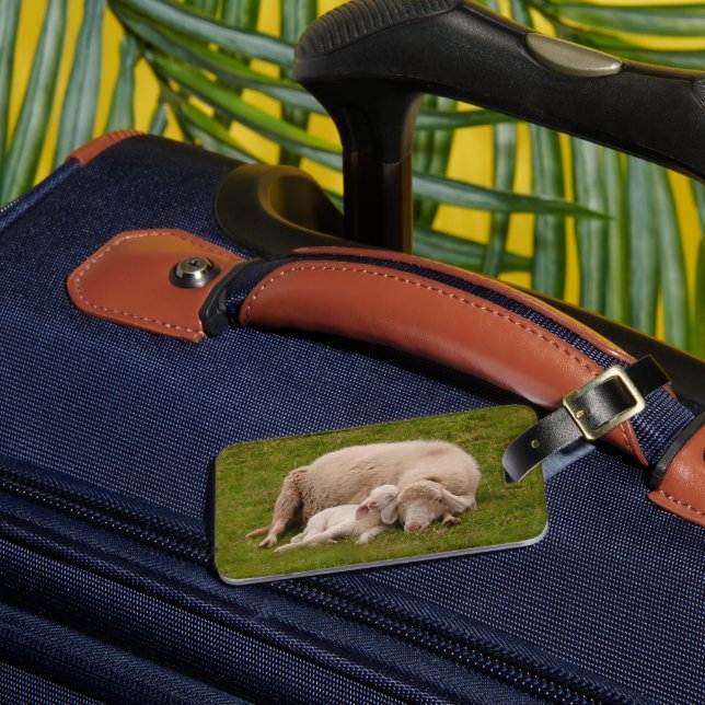 Cutest Baby Animals | Smiling Sleeping Lamb Luggage Tag (Front Insitu 3)