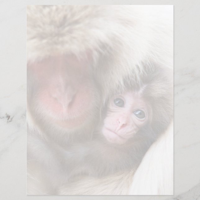 Cutest Baby Animals | Snow Monkey (Front)