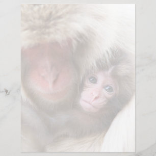 Cutest Baby Animals   Snow Monkey
