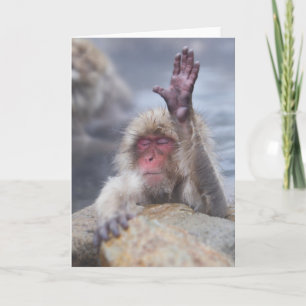Cutest Baby Animals Snow Monkey Face Card