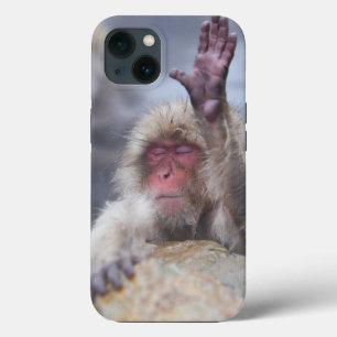 Cutest Baby Animals   Snow Monkey Face iPhone 13 Case