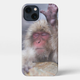 Cutest Baby Animals   Snow Monkey Face iPhone 13 Case