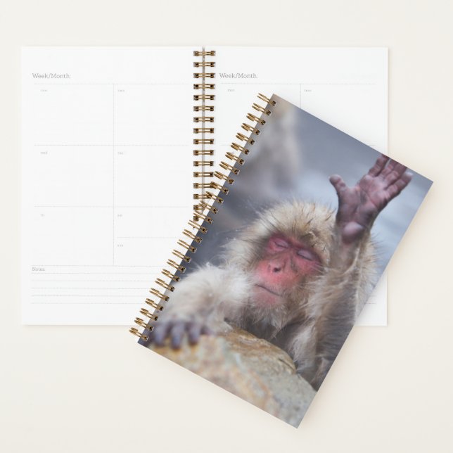 Cutest Baby Animals | Snow Monkey Face Planner (Display)