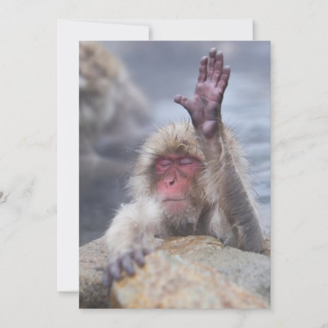 Cutest Baby Animals | Snow Monkey Face Thank You Card (Front)