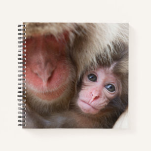 Cutest Baby Animals Snow Monkey Notebook