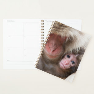 Cutest Baby Animals Snow Monkey Planner
