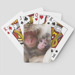 Cutest Baby Animals   Snow Monkey Playing Cards