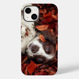 Cutest Baby Animals Spaniel in Autumn Leaves Case-Mate iPhone 14 Case
