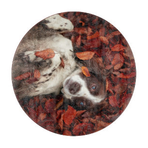 Cutest Baby Animals Spaniel in Autumn Leaves Cutting Board