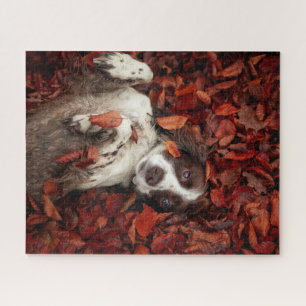 Cutest Baby Animals   Spaniel in Autumn Leaves Jigsaw Puzzle
