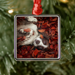 Cutest Baby Animals Spaniel in Autumn Leaves Metal Ornament