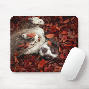 Cutest Baby Animals   Spaniel in Autumn Leaves Mouse Pad