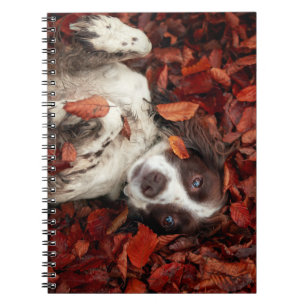 Cutest Baby Animals   Spaniel in Autumn Leaves Notebook