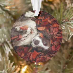 Cutest Baby Animals Spaniel in Autumn Leaves Ornament