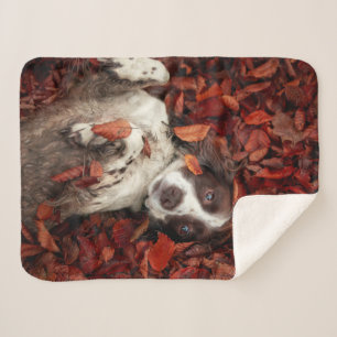 Cutest Baby Animals   Spaniel in Autumn Leaves Sherpa Blanket