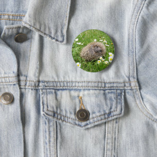 Cutest Baby Animals Spanish Hedgehog 6 Cm Round Badge