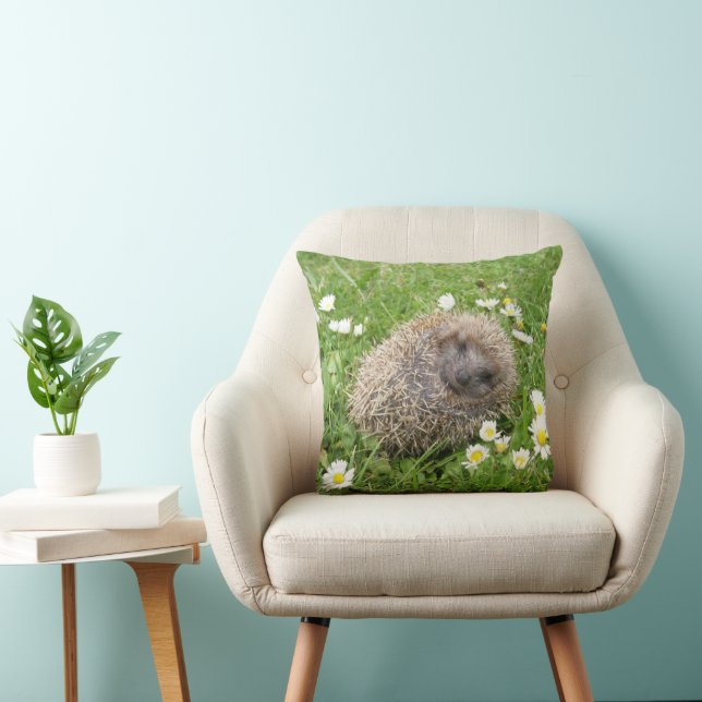 Cutest Baby Animals | Spanish Hedgehog Cushion (Chair)
