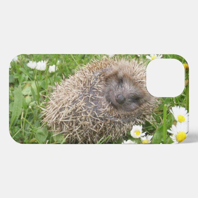 Cutest Baby Animals | Spanish Hedgehog iPhone Case (Back Horizontal)