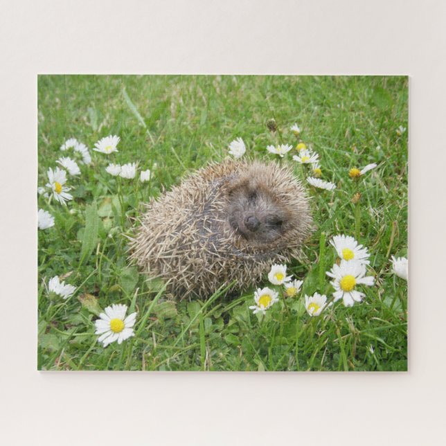 Cutest Baby Animals | Spanish Hedgehog Jigsaw Puzzle (Horizontal)