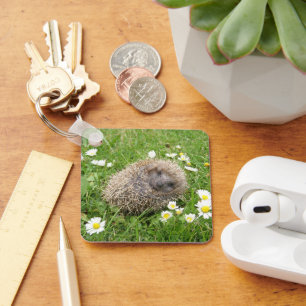 Cutest Baby Animals Spanish Hedgehog Key Ring