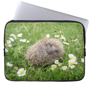 Cutest Baby Animals Spanish Hedgehog Laptop Sleeve