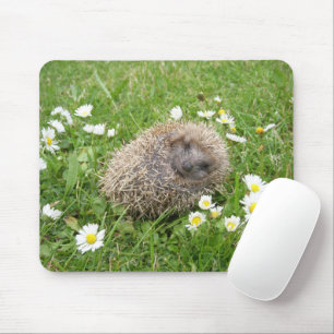 Cutest Baby Animals Spanish Hedgehog Mouse Pad