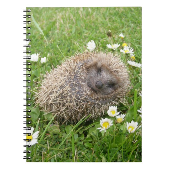 Cutest Baby Animals | Spanish Hedgehog Notebook (Front)