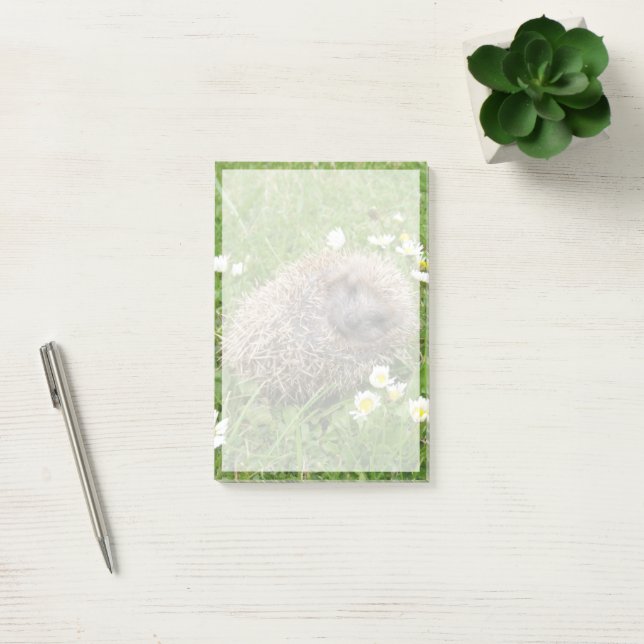 Cutest Baby Animals | Spanish Hedgehog Post-it Notes (Office)