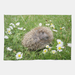 Cutest Baby Animals Spanish Hedgehog Tea Towel