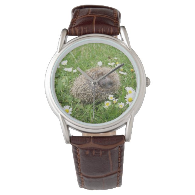 Cutest Baby Animals | Spanish Hedgehog Watch (Front)
