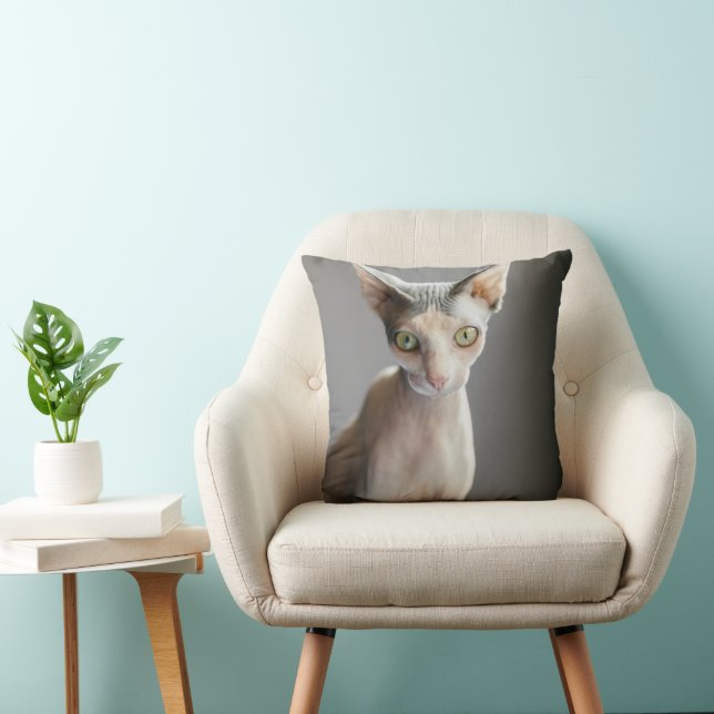 Cutest Baby Animals | Sphinx Cat Cushion (Chair)