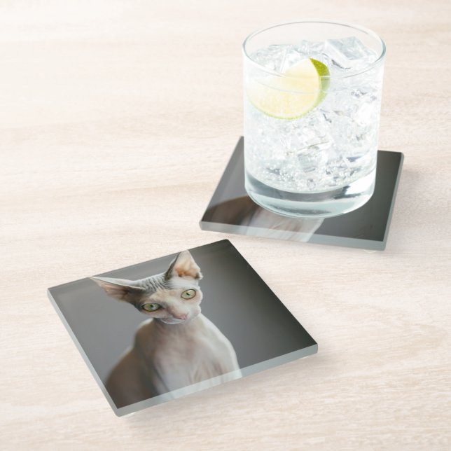 Cutest Baby Animals | Sphinx Cat Glass Coaster (Angled)
