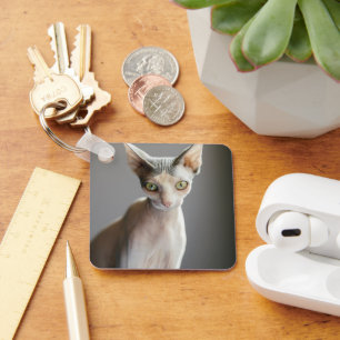 Cutest Baby Animals Sphinx Cat Key Ring