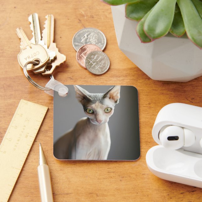 Cutest Baby Animals | Sphinx Cat Key Ring (Desk)