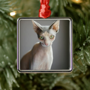 Cutest Baby Animals Sphinx Cat Metal Ornament