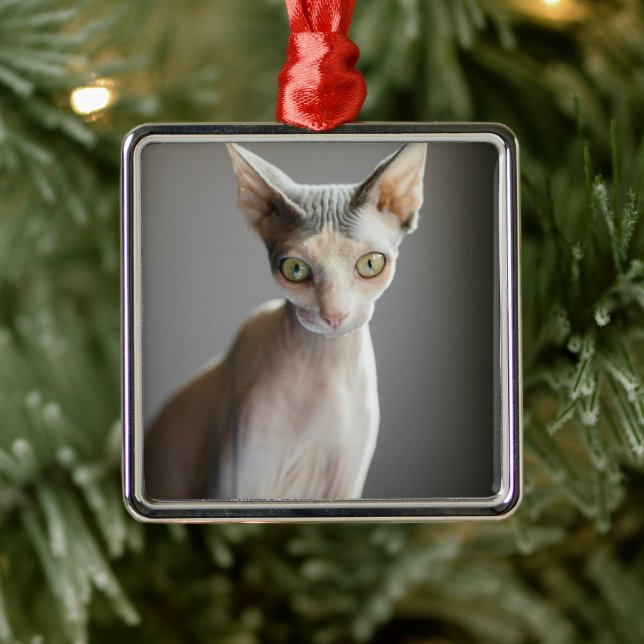 Cutest Baby Animals | Sphinx Cat Metal Ornament (Tree)
