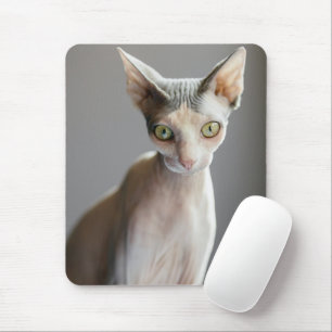 Cutest Baby Animals   Sphinx Cat Mouse Pad