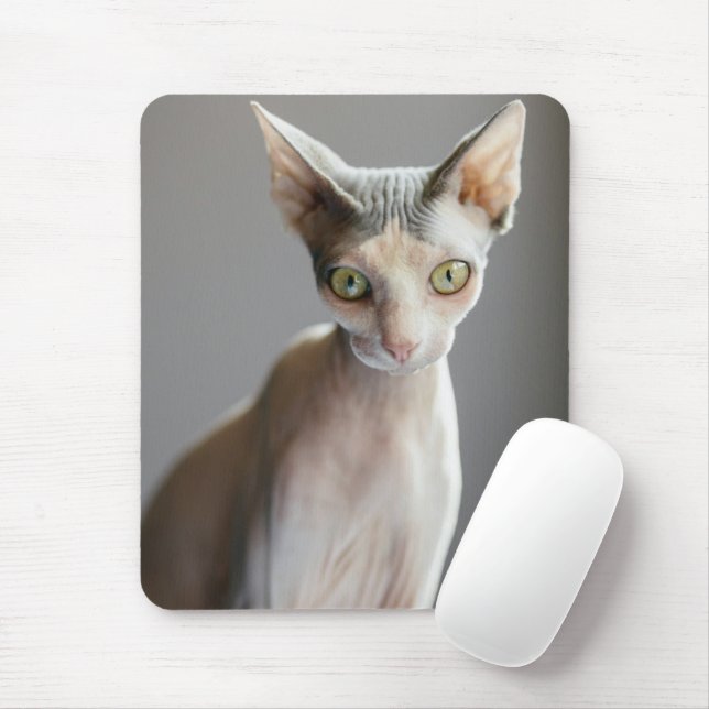 Cutest Baby Animals | Sphinx Cat Mouse Pad (With Mouse)