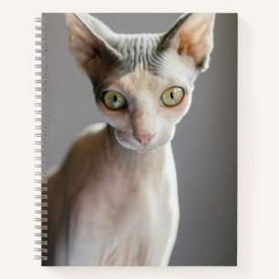 Cutest Baby Animals Sphinx Cat Notebook