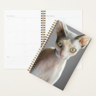 Cutest Baby Animals Sphinx Cat Planner